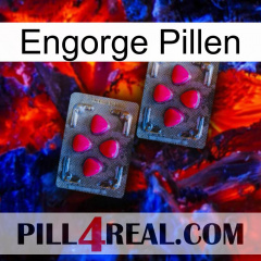 Engorge Pills 14